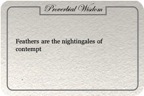 Wisdom46