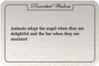 Wisdom21